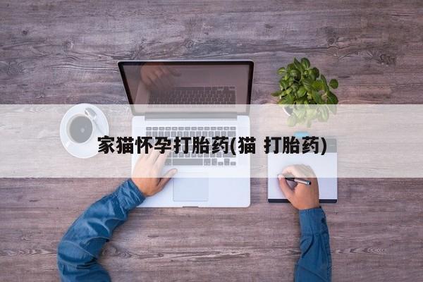 网上正品打胎药购买微信家猫怀孕打胎药(猫 打胎药)