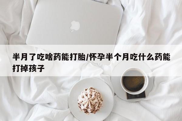 网上正品打胎药购买微信半月了吃啥药能打胎/怀孕半个月吃什么药能打掉孩子